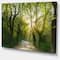 Designart - Evening in Green Forest - Landscape Canvas Art Print